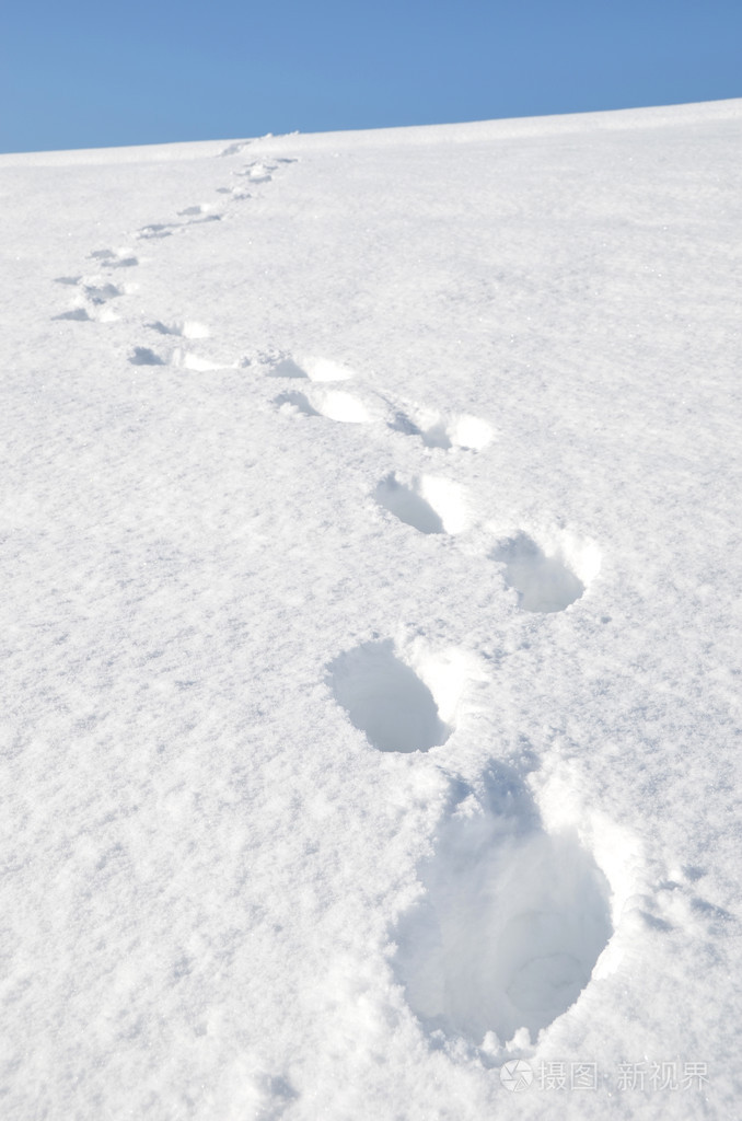 在雪地上的足迹