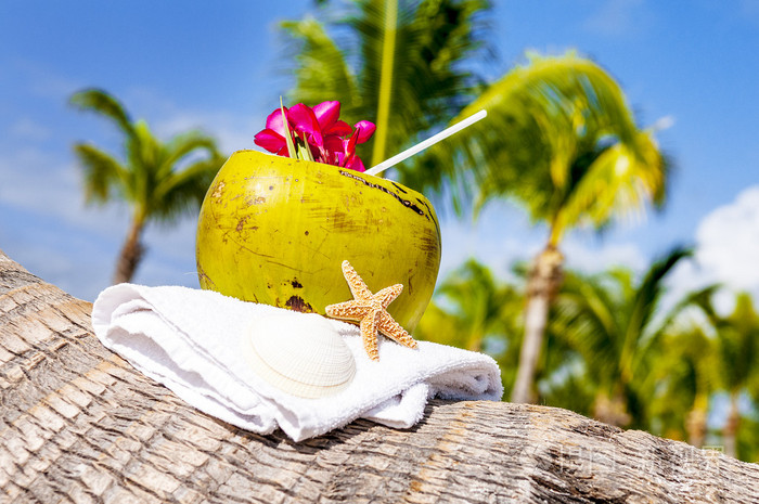 在海滩上的椰子照片-正版商用图片1dff77-摄图新视界