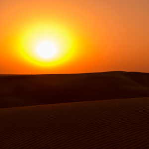 在沙漠的日落