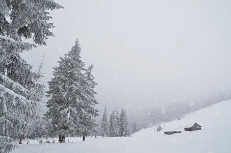 在山区降雪