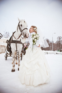 一匹马在冬季公园美丽的新娘