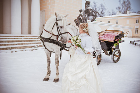 一匹马在冬季公园美丽的新娘