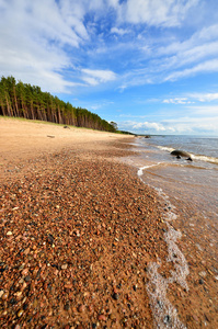 在拉脱维亚波罗的海岸