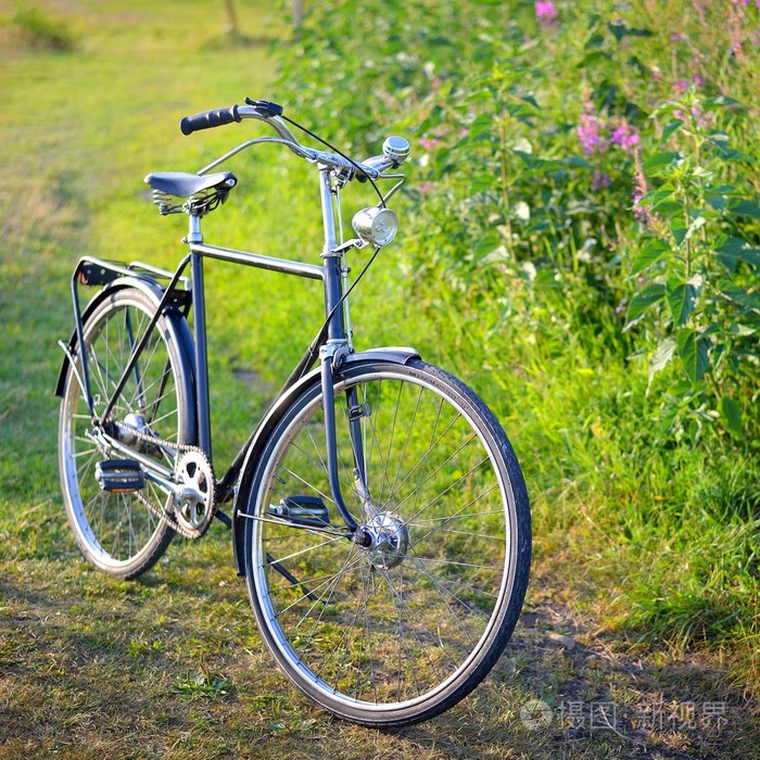 玄武岩の列kirkjugolf荷兰的老复古自行车在农村区域中的字段