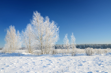 冬季农村视图