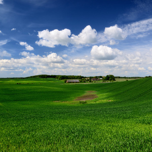 经典的乡村景观。绿色的田野，蓝色的天空