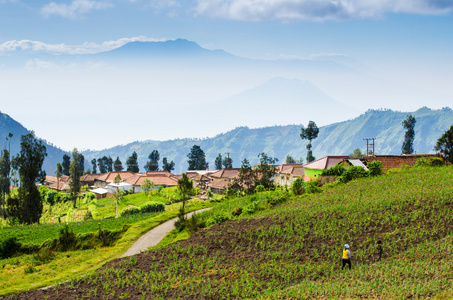 村庄在装载溴溴腾格里 semeru 国家公园