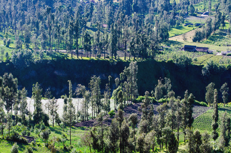 村庄在装载溴溴腾格里 semeru 国家公园