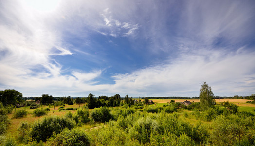 经典的乡村景观。绿色的田野，蓝色的天空
