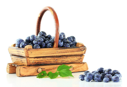 蓝莓隔离在白色的木制篮子里