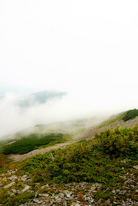 山风景