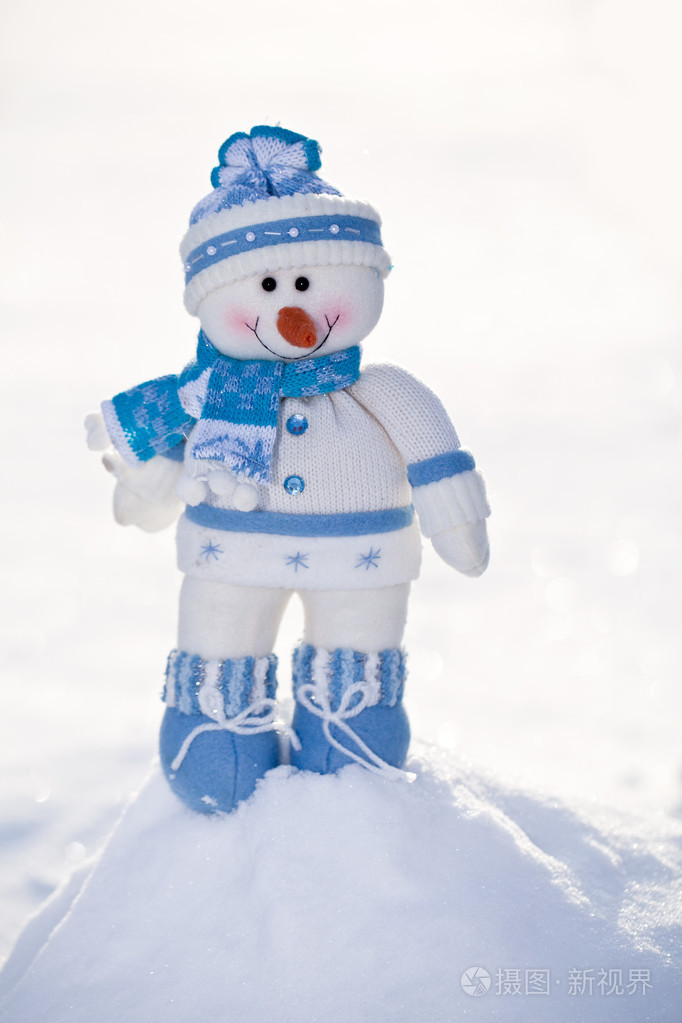 在雪中的胡萝卜鼻子小雪人