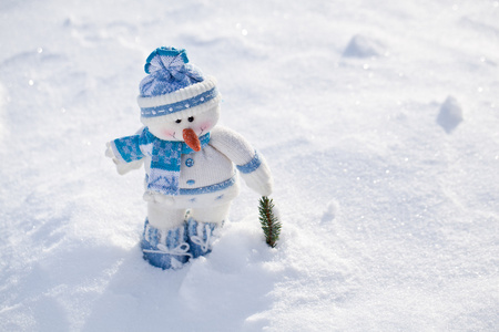 在雪中的胡萝卜鼻子小雪人