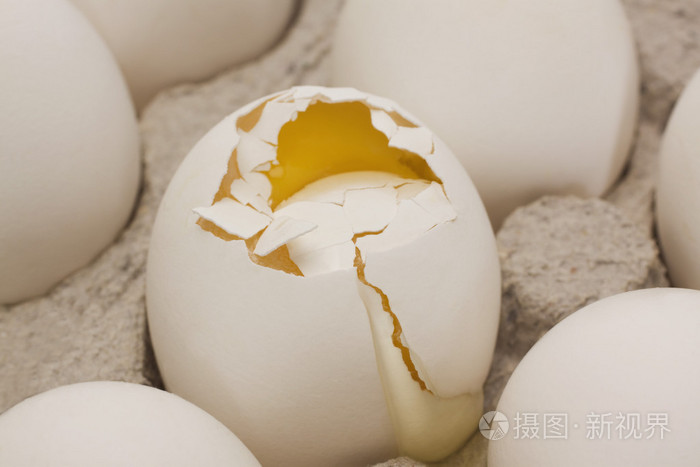 与其他许多松鸡蛋一纸箱破的蛋