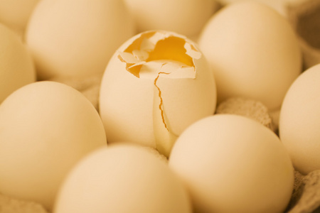 与其他许多松鸡蛋一纸箱破的蛋
