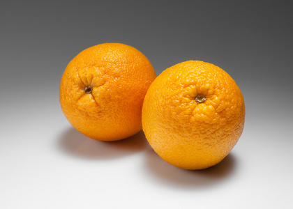 鲜橙色渐变在白色背景上