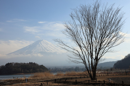 从 3 月河口湖富士山的视图