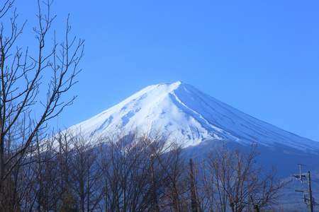 从河口湖在 3 月的富士山视图