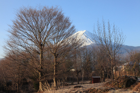 从河口湖在 3 月的富士山视图