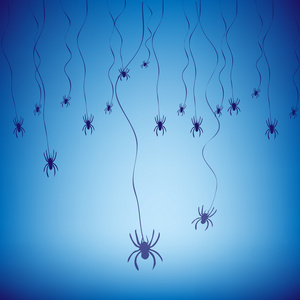 动物与蜘蛛在蓝色的背景