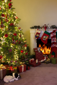 壁炉和圣诞树图片