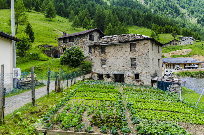 在意大利阿尔卑斯山的夏天草甸高山牧羊人村石房子