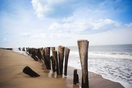 在海滩上的木头柱子