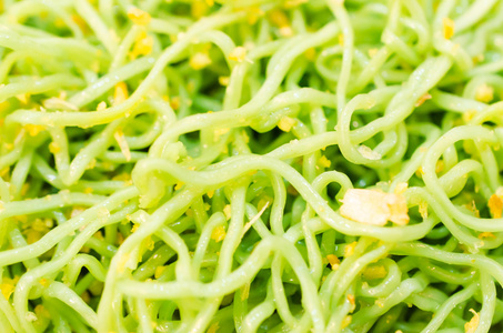 绿色意大利面图片