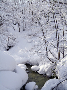 与白色雪河