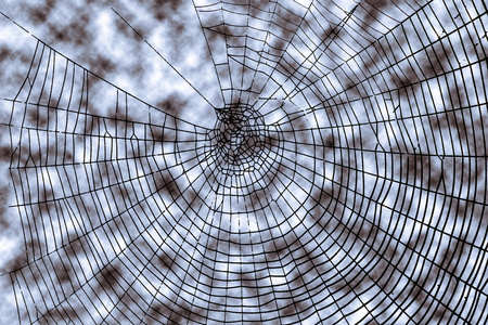 相当可怕，可怕的蜘蛛网