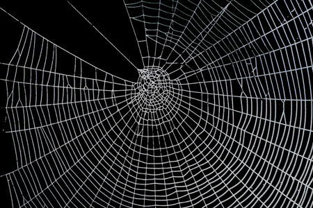 相当可怕，可怕的蜘蛛网