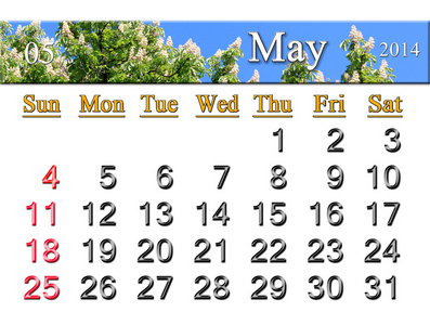2014 年 5 月与板栗冠日历
