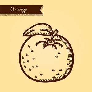 橙 新鲜水果