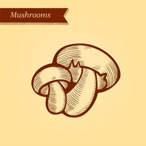 蘑菇 香菇 新鲜蔬菜