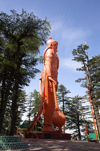 在 jakhoo 寺主哈努曼雕像