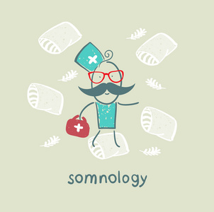 somnology 在枕头上的苍蝇