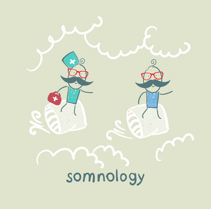 somnology 飞在病人的坐垫