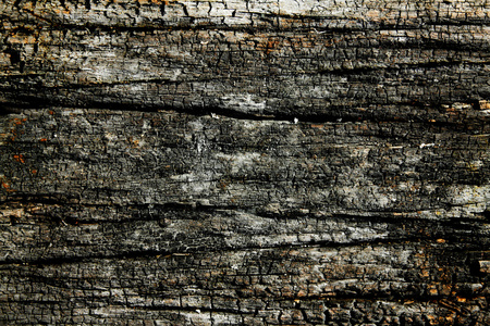 照片图像销毁图片