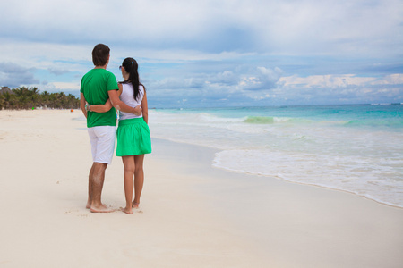 后方的看法的年轻夫妇在阳光明媚的日子走在异国风情的沙滩上