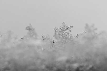 美容白色雪花状晶体