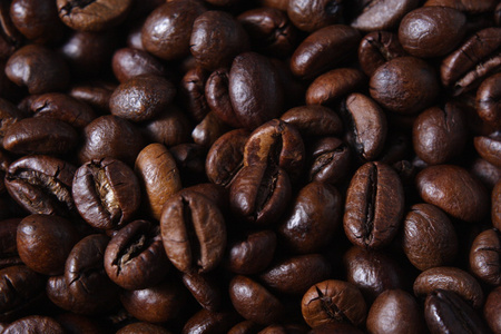罗布斯塔咖啡豆