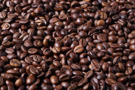 罗布斯塔咖啡豆