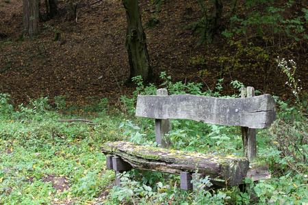 孤独的长凳上森林的边缘