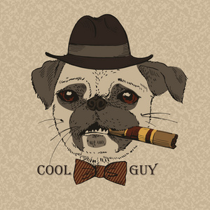 狗看车窗的图图片