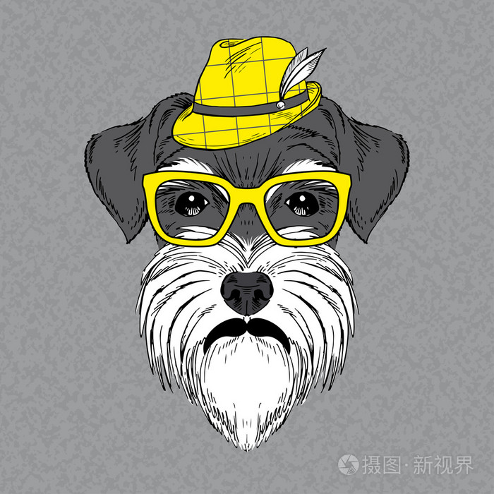 以手绘的雪纳瑞矢量时尚肖像