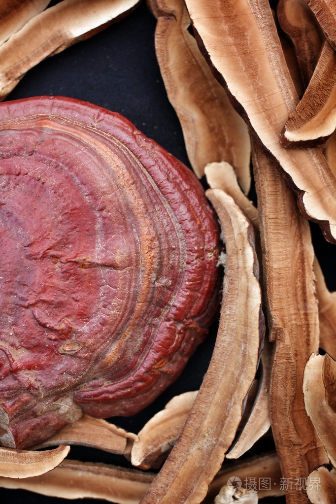 灵芝照片-正版商用图片1diq63-摄图新视界