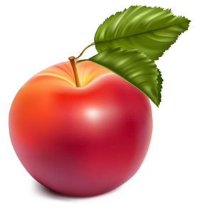 绿色的树叶与成熟的红苹果