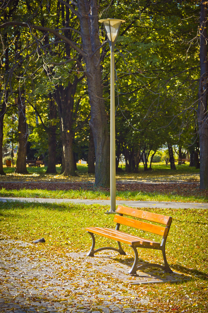 在秋天在一个公园的长椅