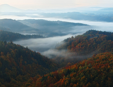 unrise 在波希米亚萨克森瑞士美丽的山。砂岩峰林和山雾的背景下，从增加雾是由于太阳光的橙色