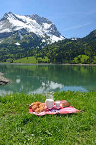 牛奶 奶酪和面包，高寒草甸的野餐